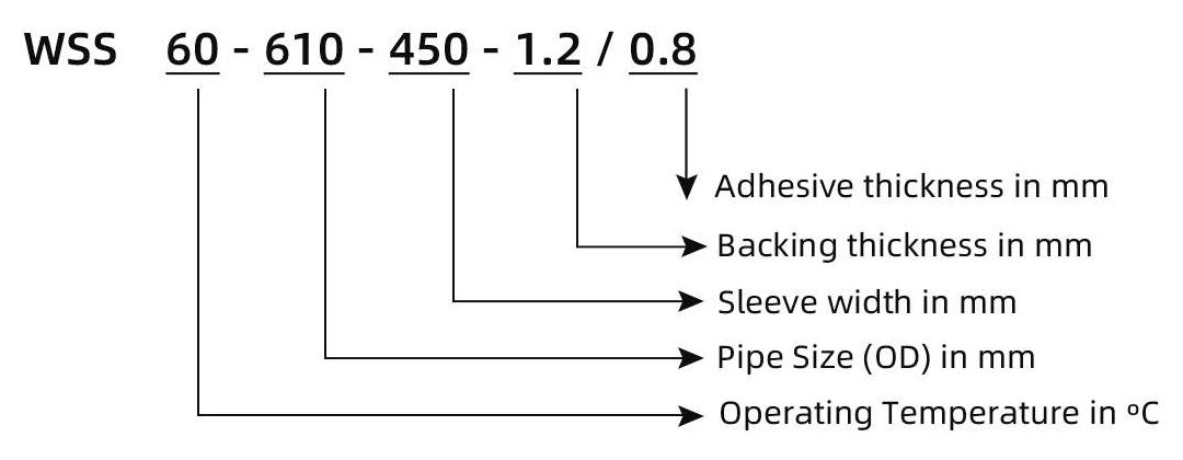 WSS60 Ordering Information