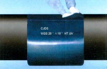 Step 6